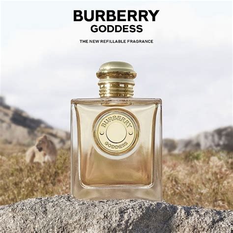 burberry goddess fragrantica pl